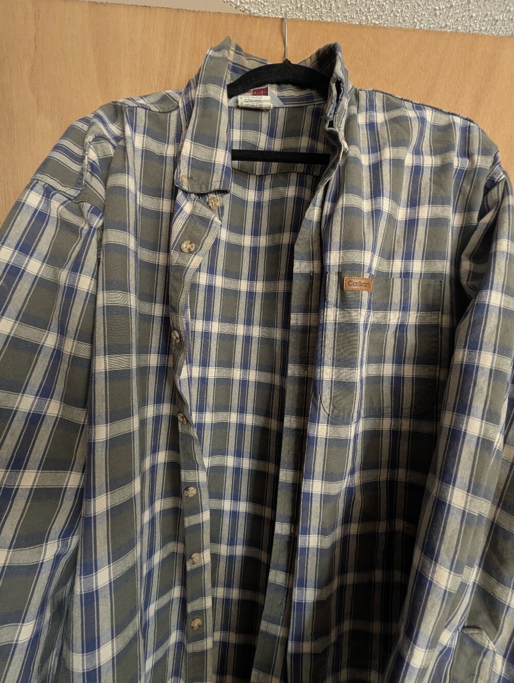 Carhartt Men’s Blue and Green Plaid Button-Down Shirt